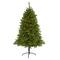 5ft. Pre-Lit Sierra Spruce Artificial Christmas Tree, Clear LED Lights